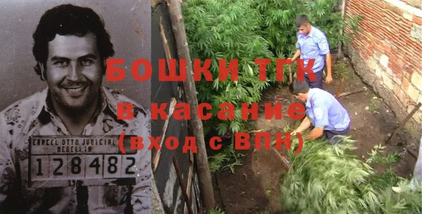 дмт Богородицк