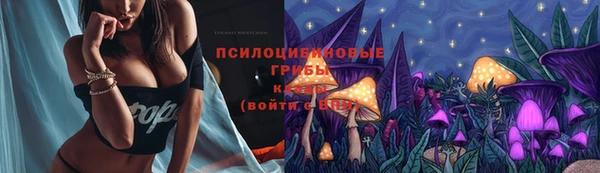 дмт Богородицк