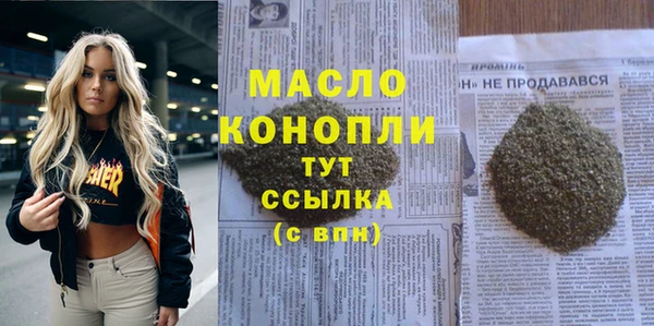 дмт Богородицк