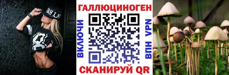 Псилоцибиновые грибы мицелий  Туймазы 